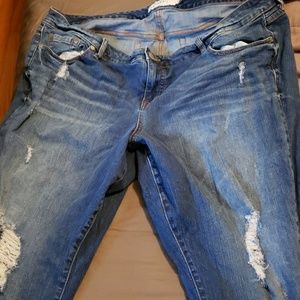 Torrid Jeans
